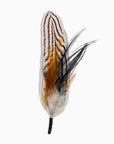 Zebra Feather Hat Mount
