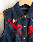 Lainey Wilson embroidered western shirt showing back detail and pearl snaps