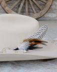 Zebra Feather Hat Mount