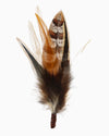 Brown Feather Hat Accessory