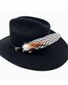 Zebra Feather Hat Mount