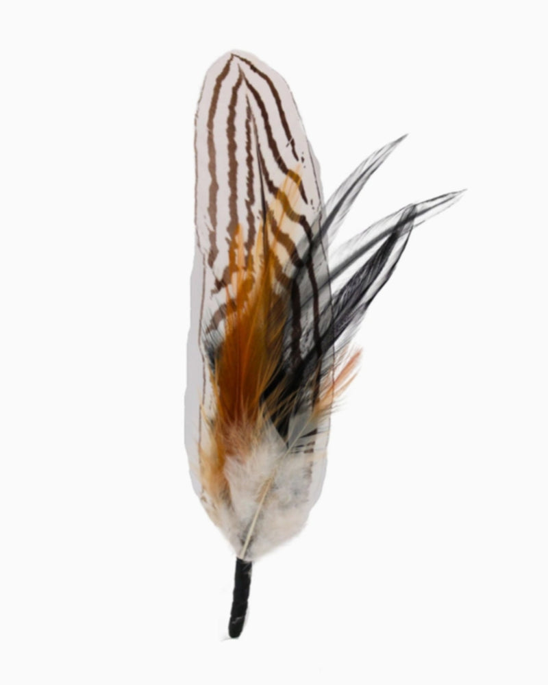 Zebra Feather Hat Mount