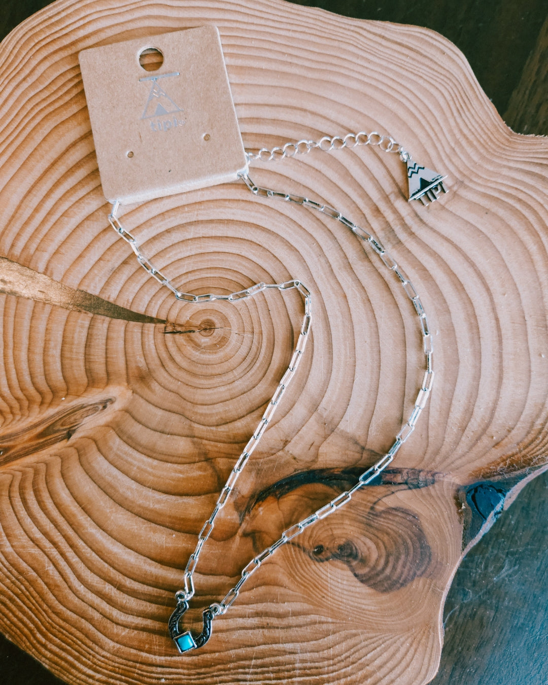 Lucky Horseshoe Western Pendant Necklace