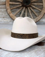 Snake Print Concho