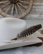 Long Feather Hat Mount