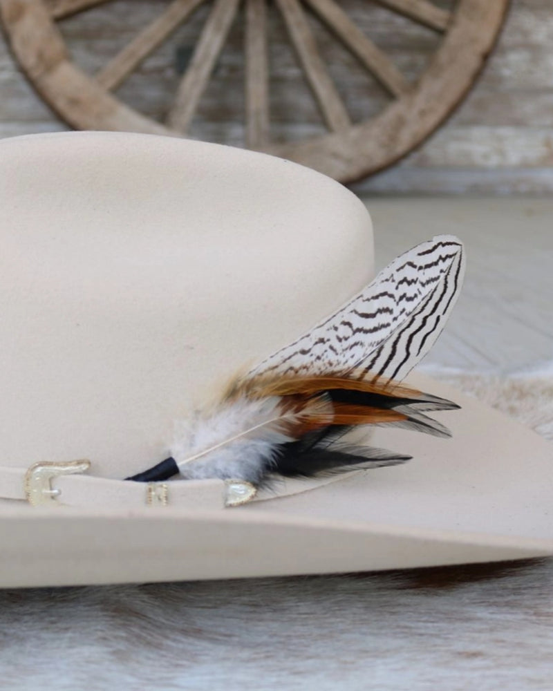 Zebra Feather Hat Mount